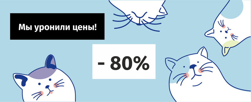 ЧП Коты Лендинг для Новости.png ЧП Коты Лендинг для Новости.png